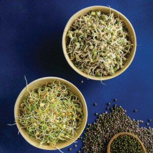 Sprouts in bowls and seeds in a spoon