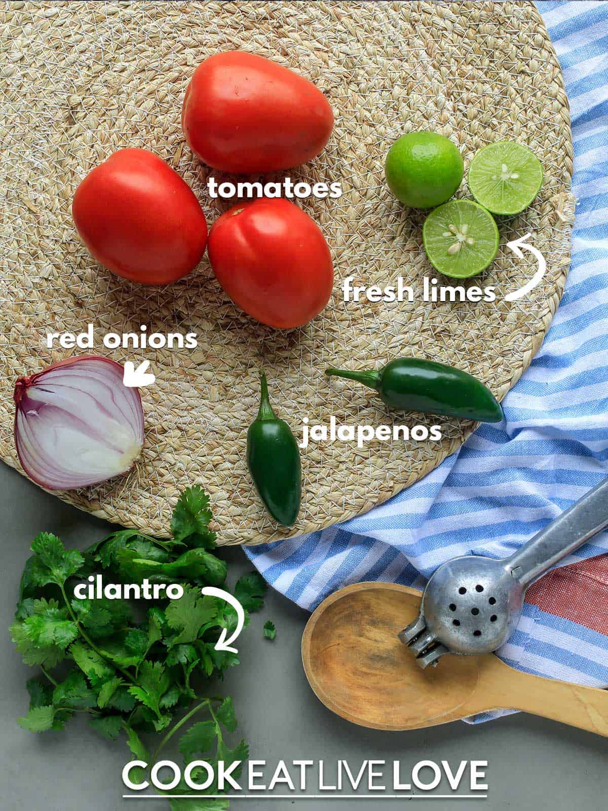 Ingredients to make blender salsa on a table with text labels