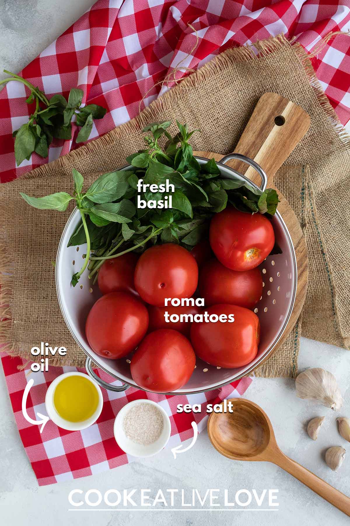 Ingredients to make no cook pizza sauce with fresh tomatoes.