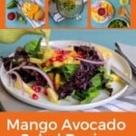 Pin for pinterest graphic with image of mango salad and text