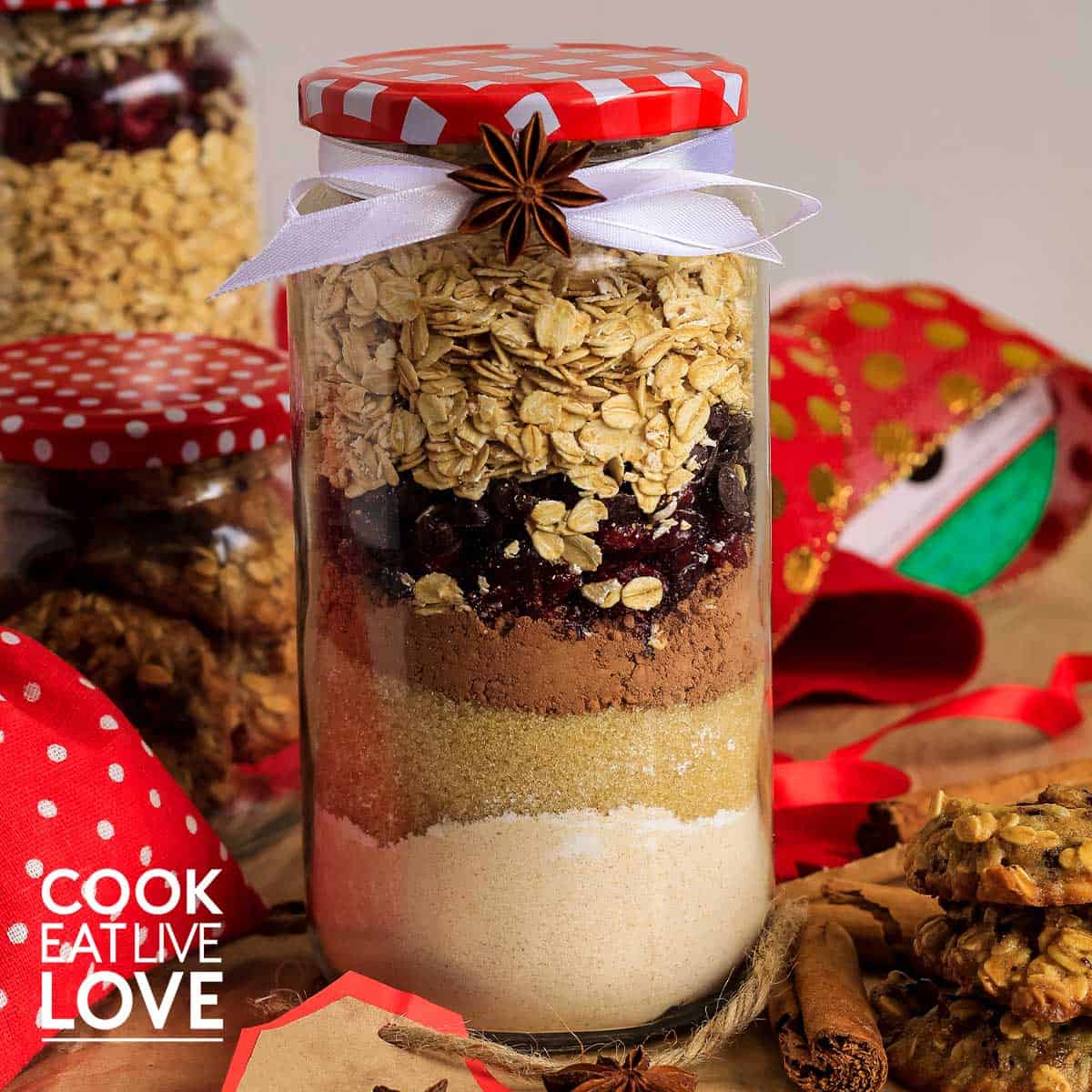 Vegan chocolate oatmeal cookie ingredients in jar to give as gift.