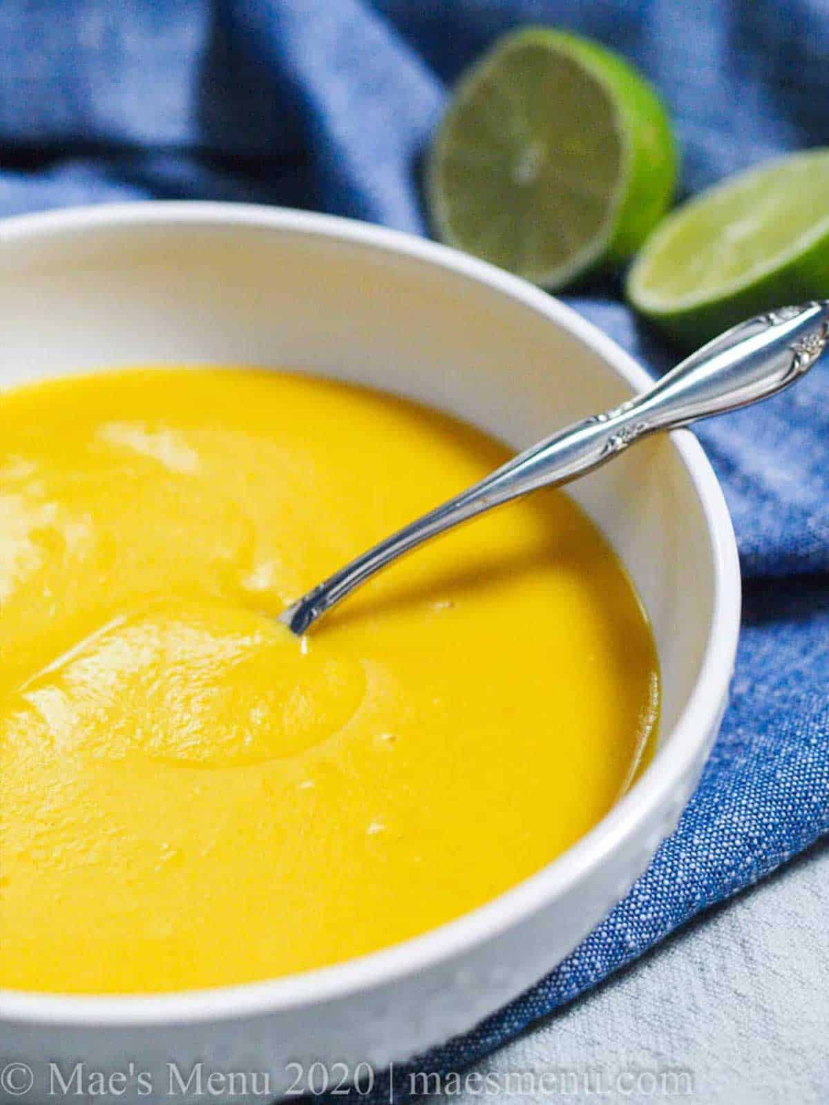 Bowl of butternut squash soup with spoon.