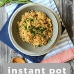 Pin for pinterest graphic of rice in bowl with text