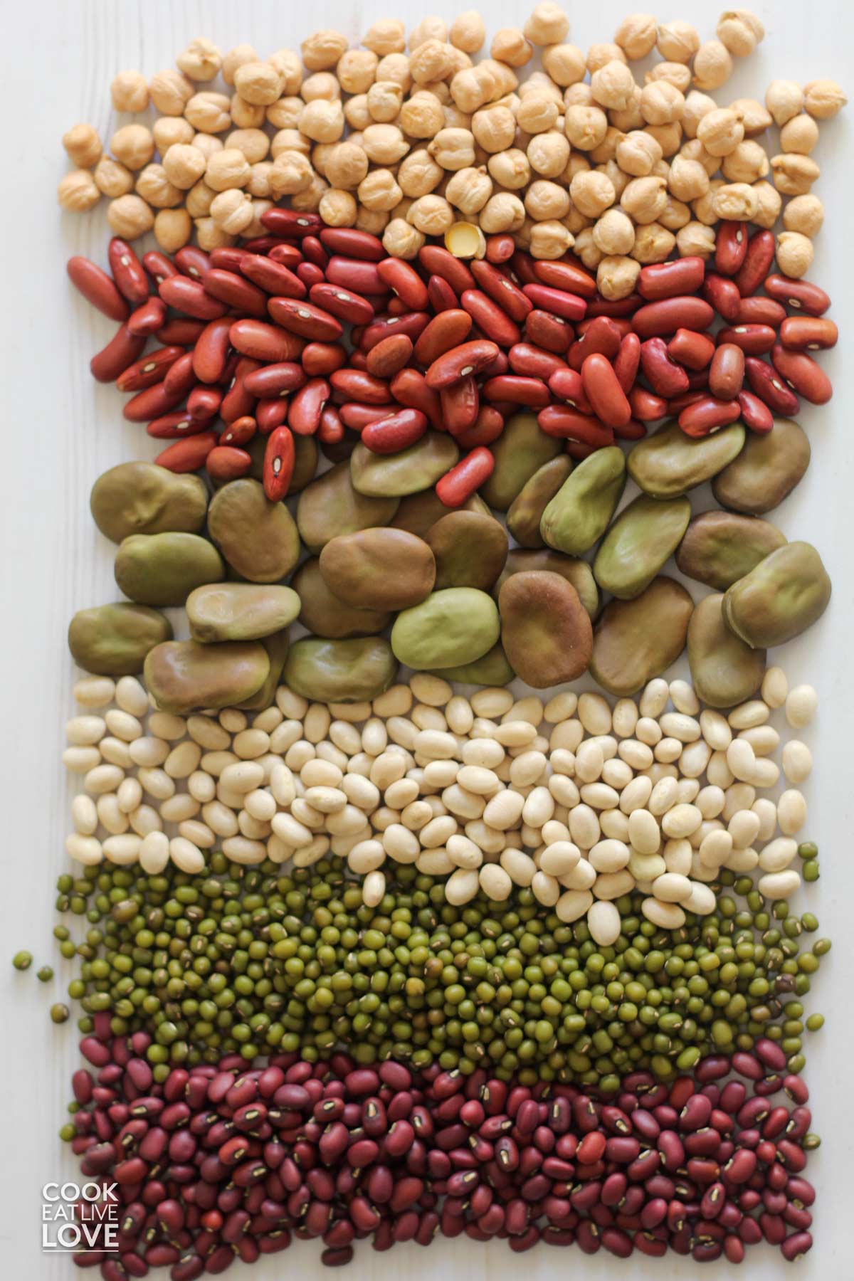 Different types of dried beans on the counter top in rows.