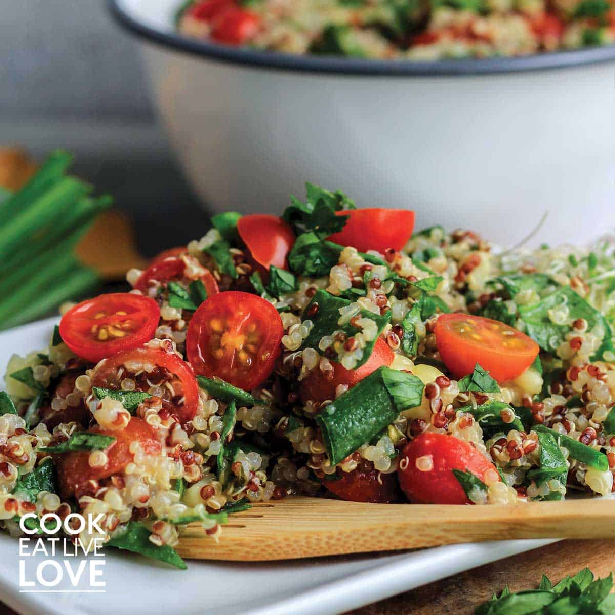 Zesty quinoa salad on a plate with a wooden fork