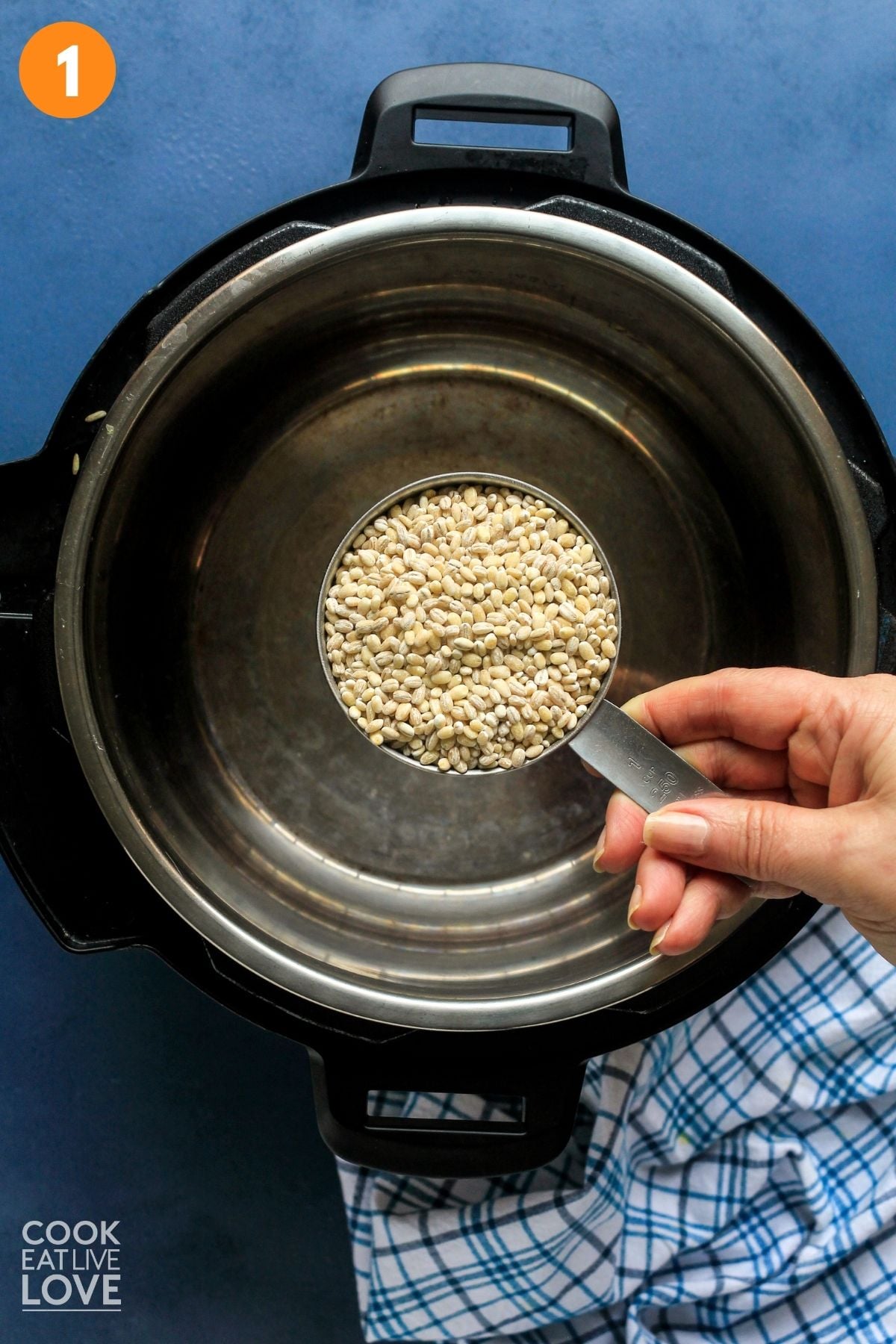 Holding a cup of barley over the Instant Pot.