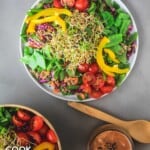 Lentil sprouts on salad plate with dressing and bowl of salad