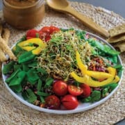 Colorful salad with lentil sprouts on a plate