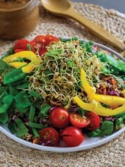 Colorful salad with lentil sprouts on a plate