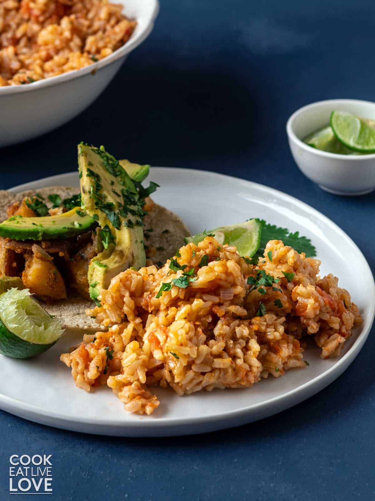 Instant Pot spanish rice served up on plate