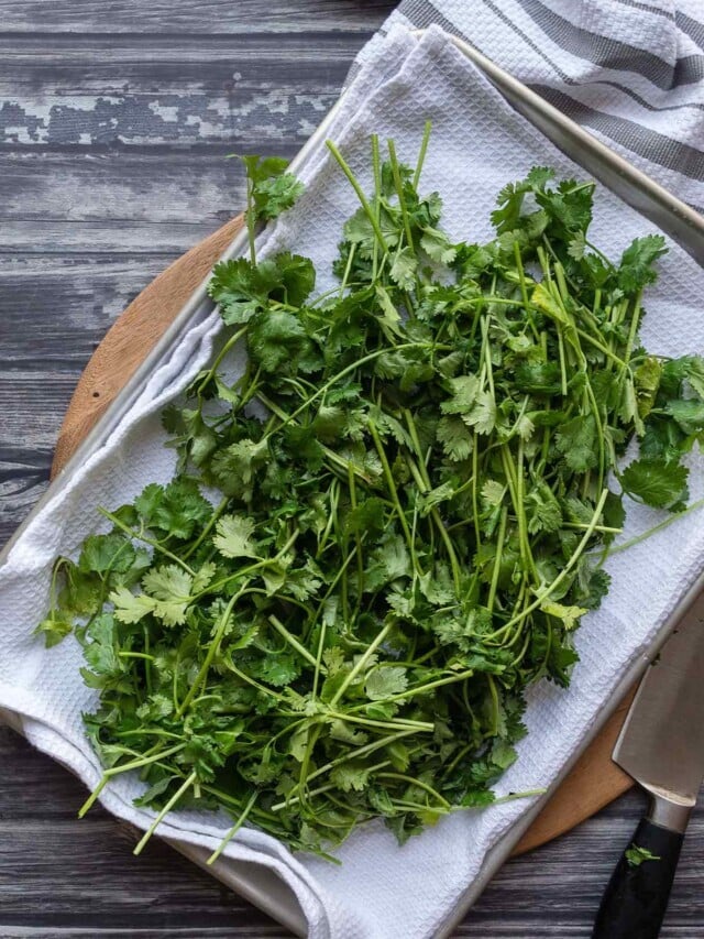 How to Store Cilantro