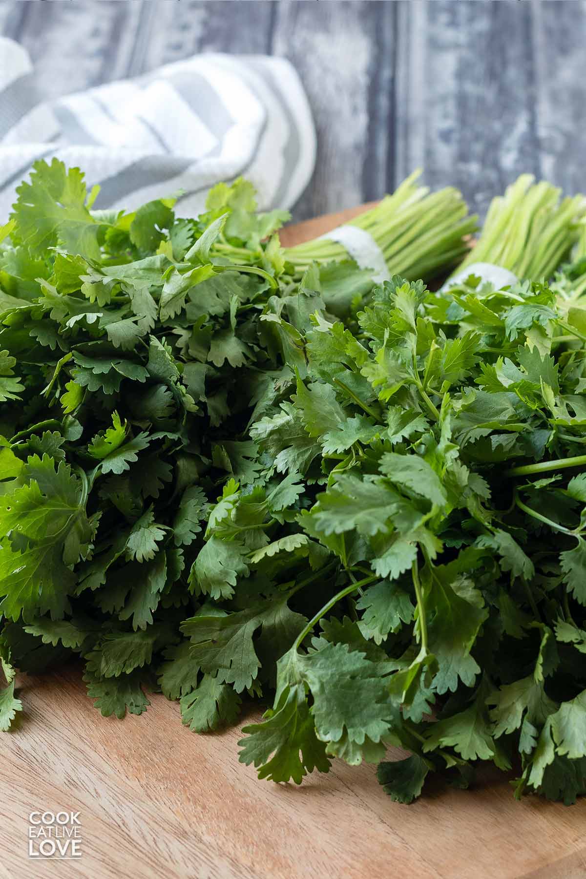 Bunches of cilantro on the table.