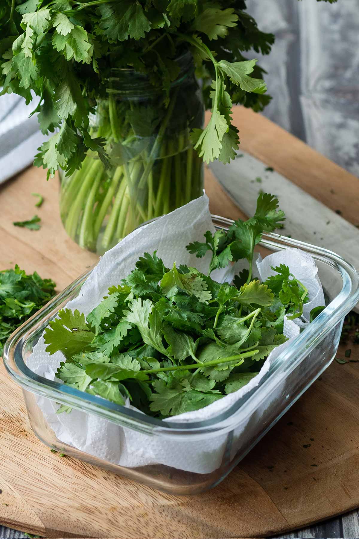 Closeup view of cilantro stored in a container.