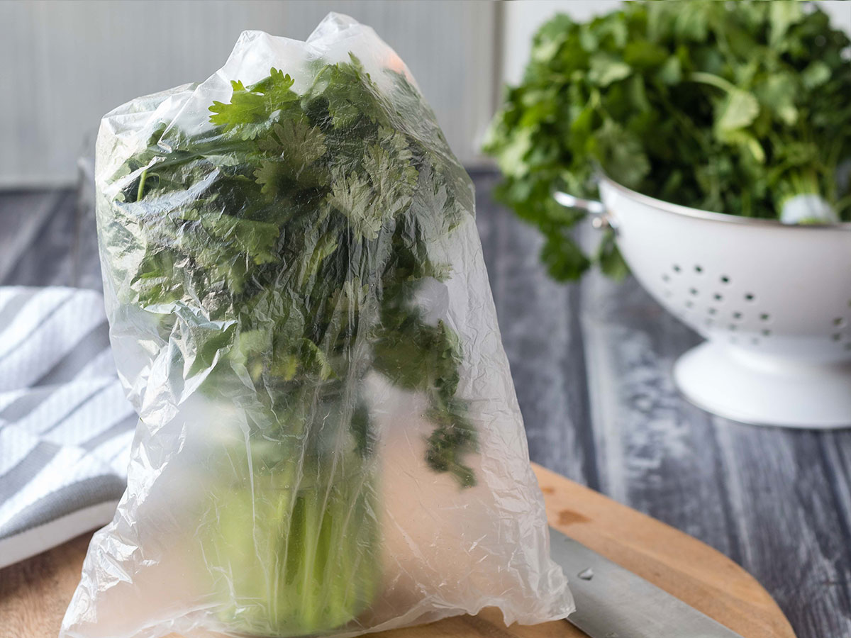 Jar and cilantro covered with a plastic bag.
