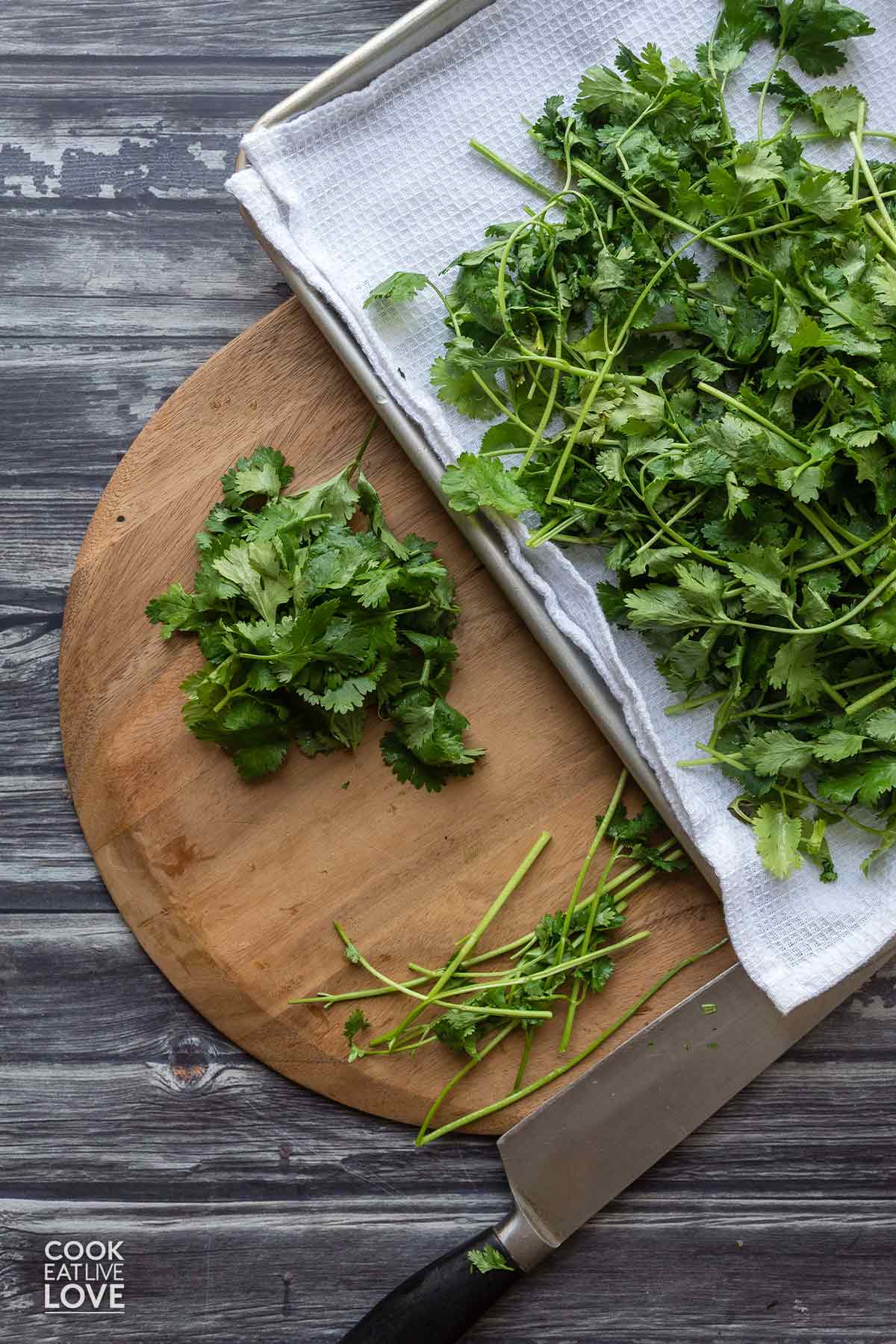 Pile of cilantro leaves to chop on a cutting board.
