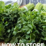 Pin for pinterest graphic with image of cilantro and text on top.