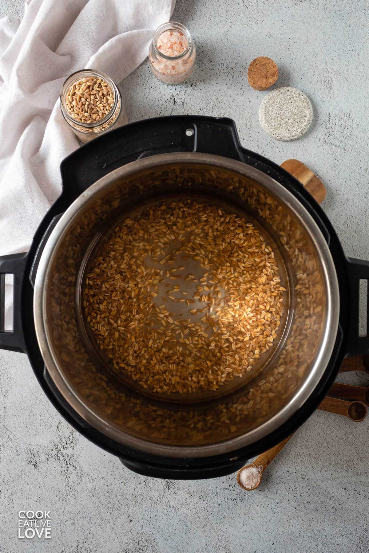 Farro and water added to the instant pot.