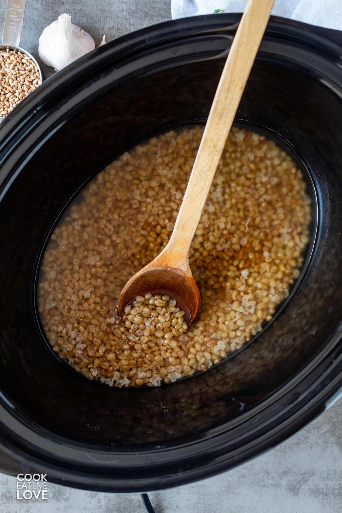 Wheat berries after cooking in a slow cooker.
