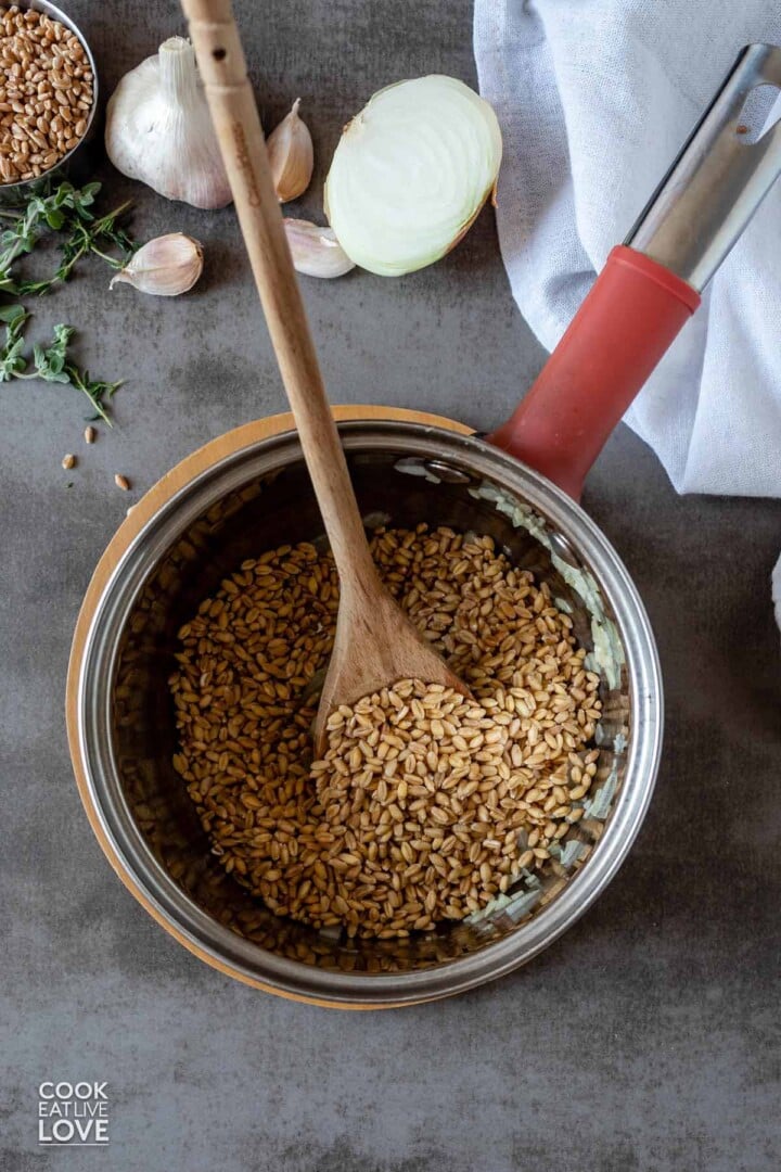 How to Cook Wheat Berries (A Complete Guide!) Cook Eat Live Love