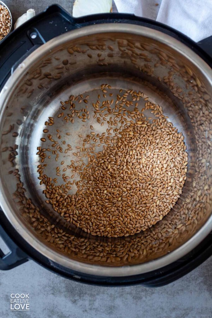 How to Cook Wheat Berries (A Complete Guide!) Cook Eat Live Love