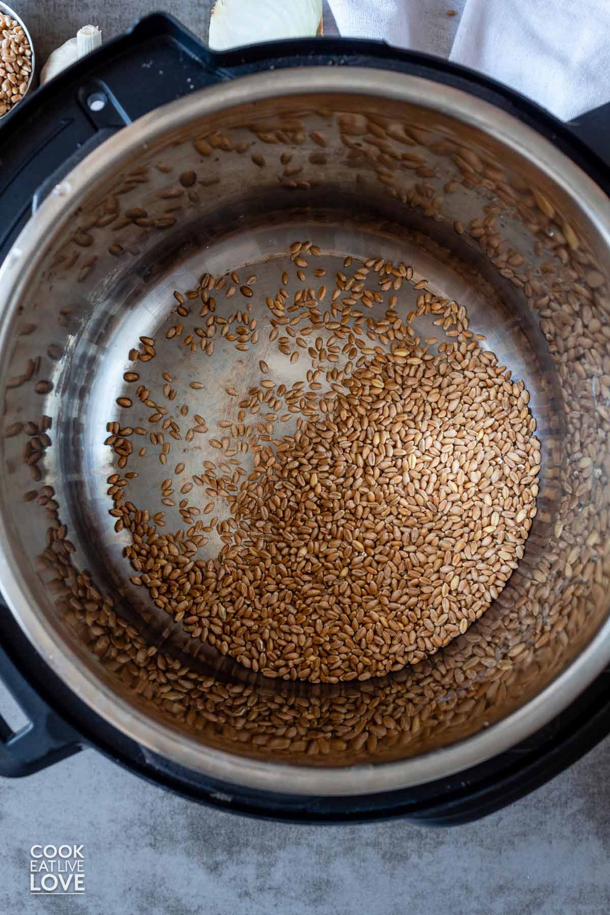 Wheat berries added to instant pot.