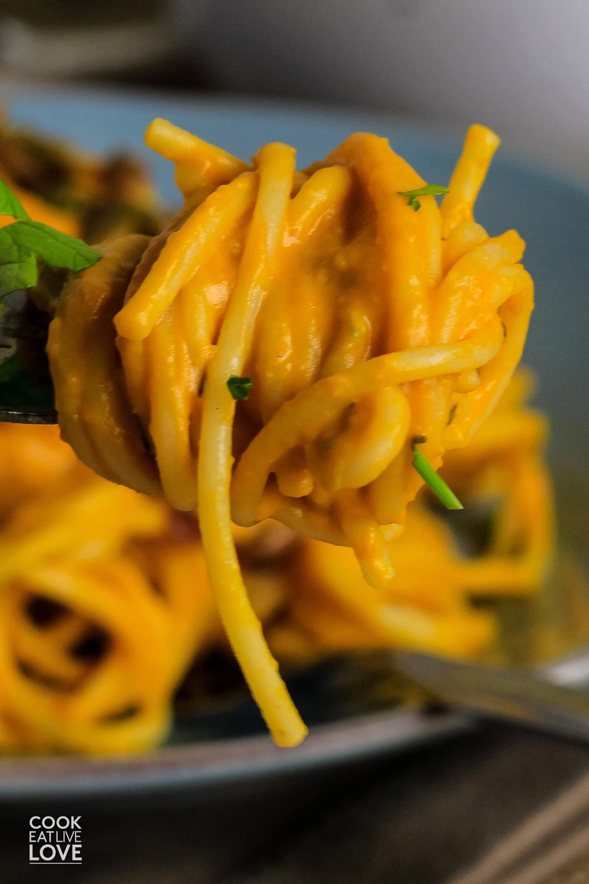 Butternut squash pasta twirled on a fork with a plate of pasta in background.