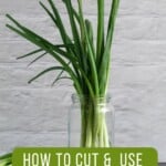Pinterest graphic with image of green onions and text on top.