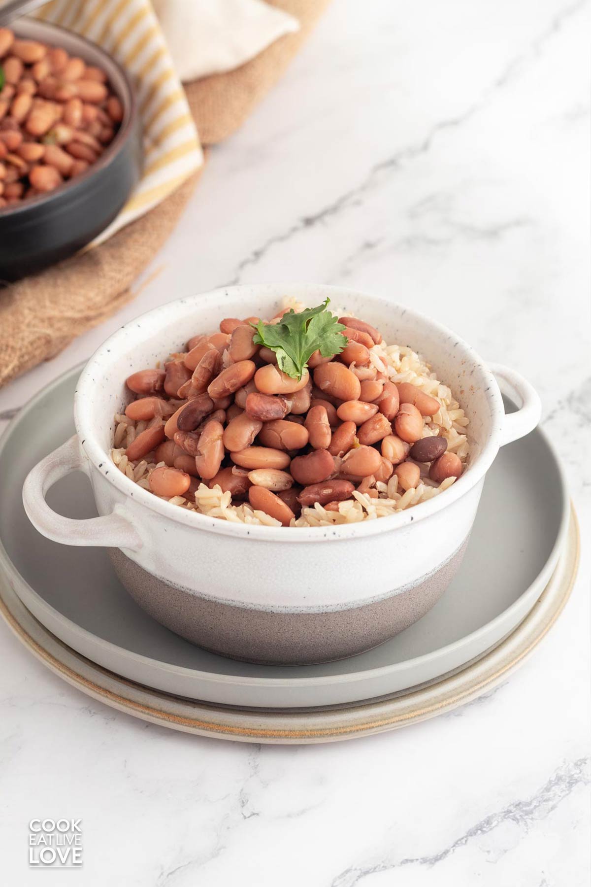 Slow cooker pinto beans in a bowl on a plate.