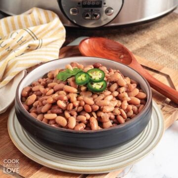 A bowl of pinto beans in front of the slow cooker.