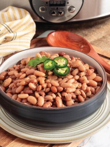 A bowl of pinto beans in front of the slow cooker.