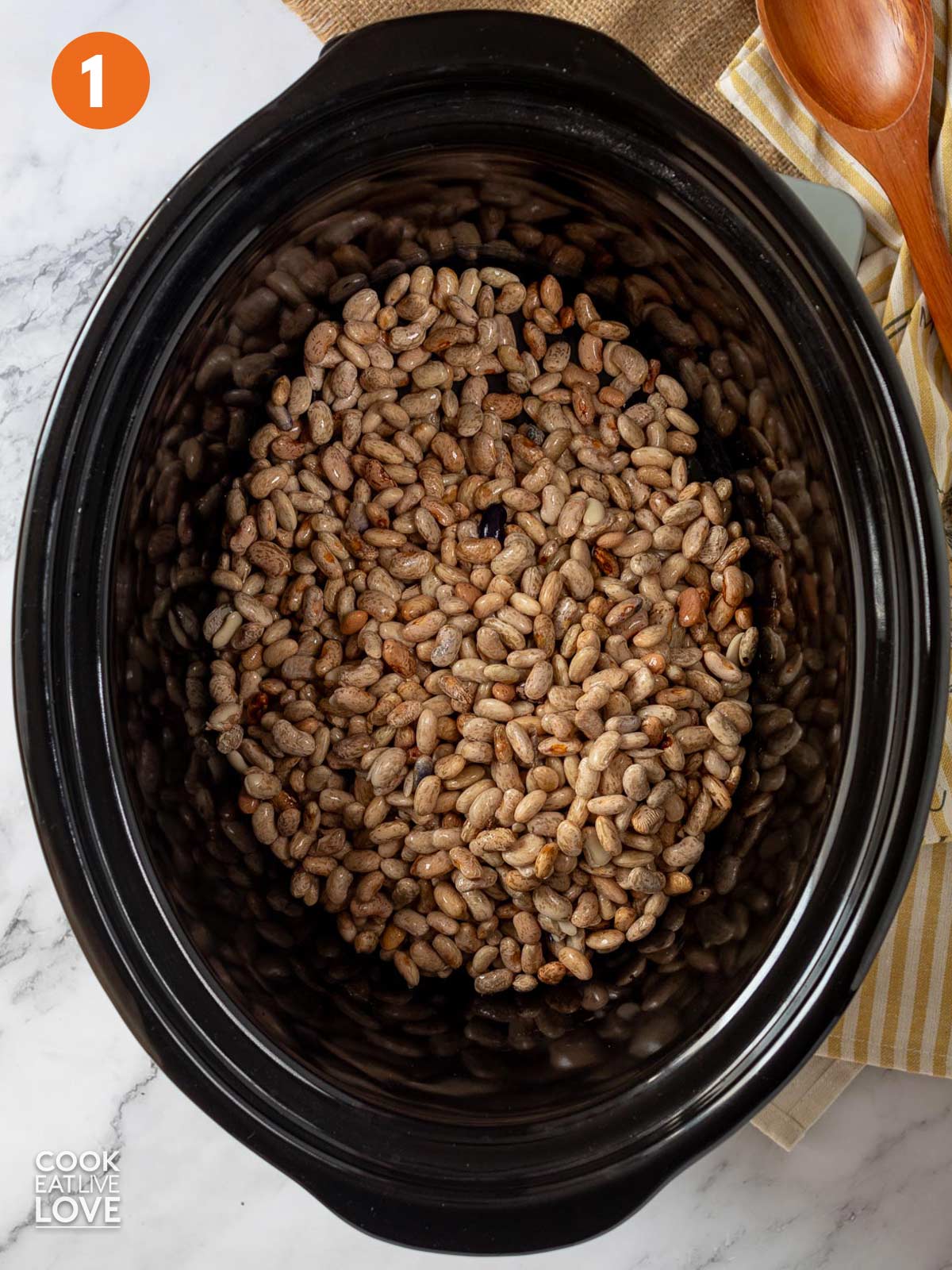 Pinto beans in the slow cooker.