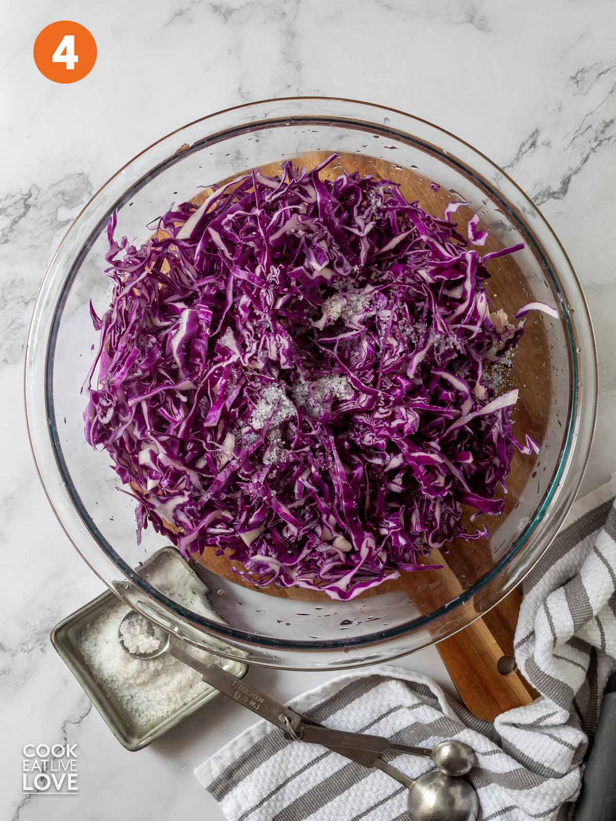 Salt sprinkled over a bowl of clean purple cabbage.