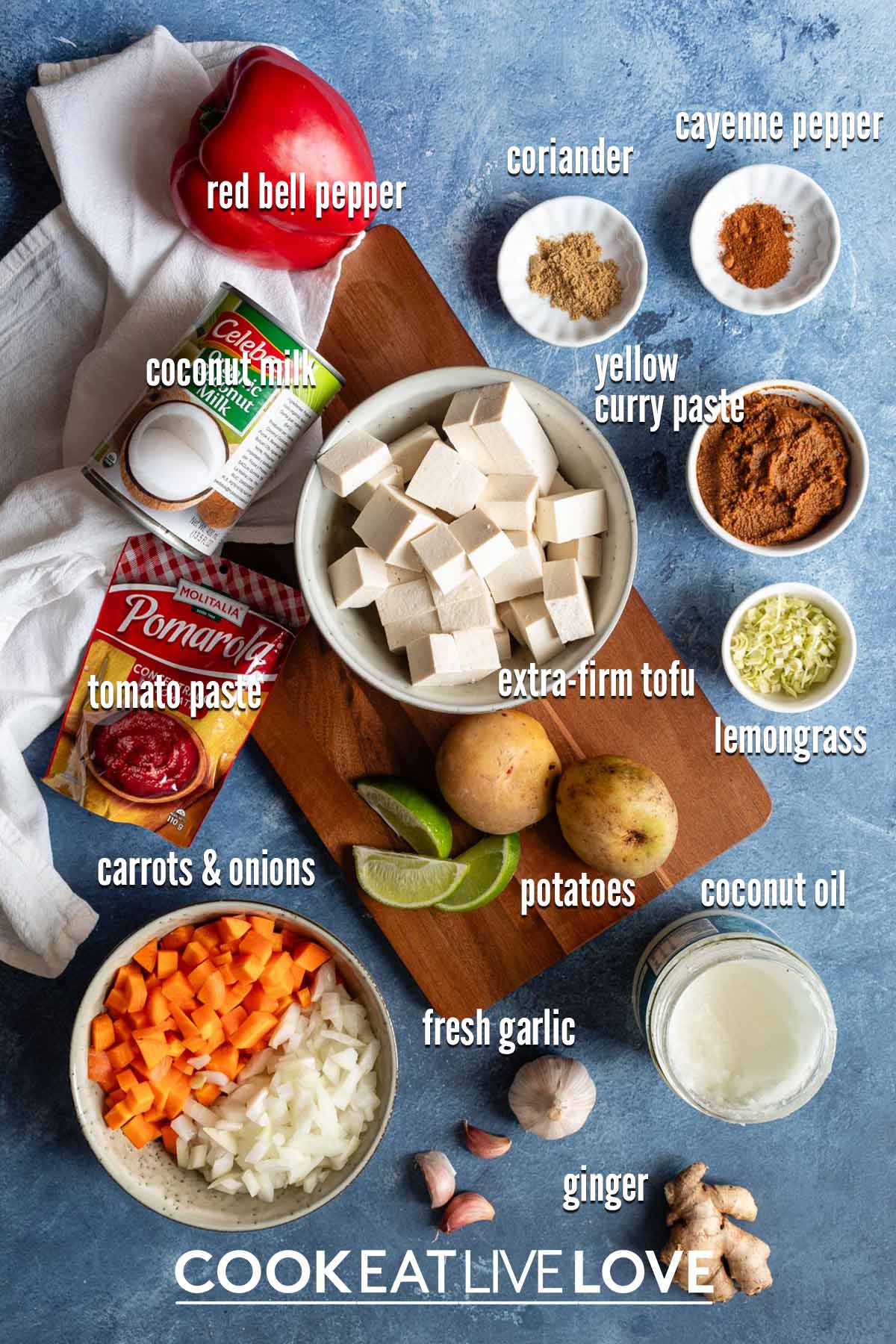 Ingredients to make vegetarian yellow curry on the table with text labels.