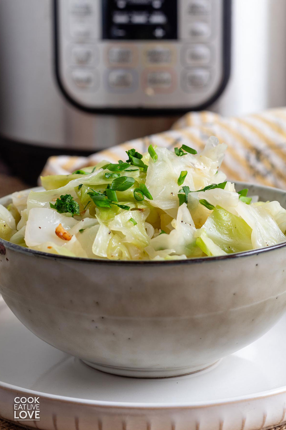 Bowl of cooked cabbage in front of the Instant pot.