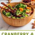 Pin for pinterest graphic for broccoli cranberry salad with text on top.