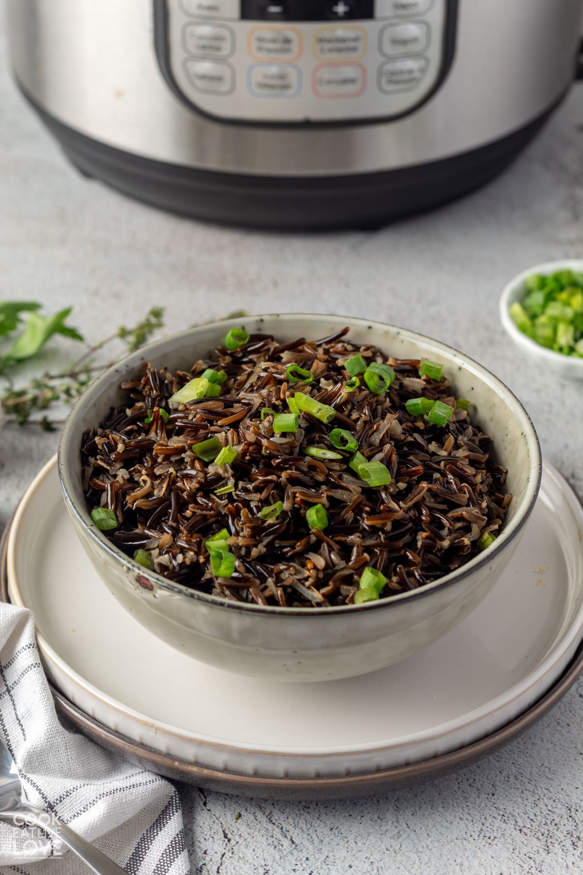 A bowl of wild rice with an instant pot in the background.