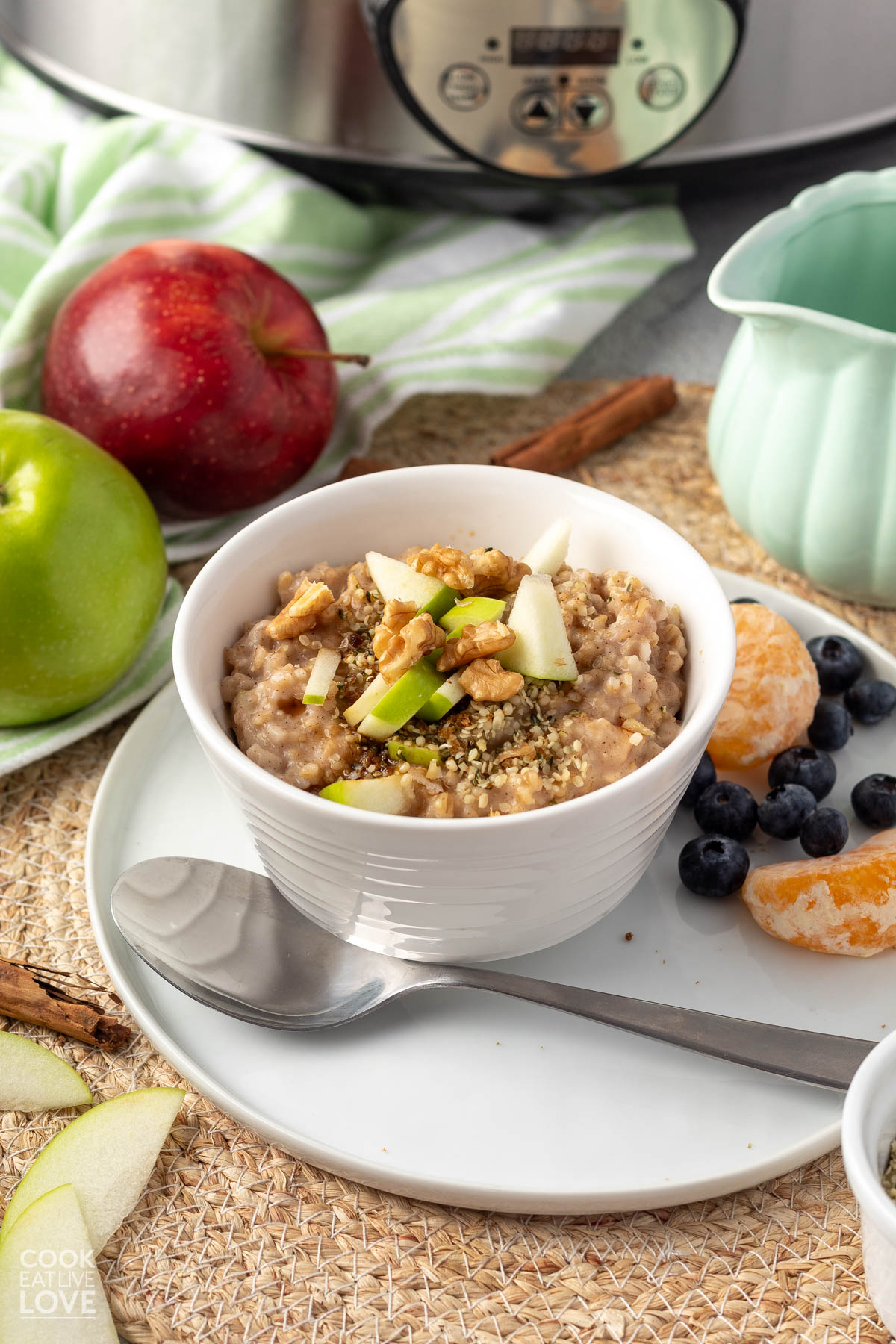A bowl of apple oatmeal on the table with a slow cooker in the background.