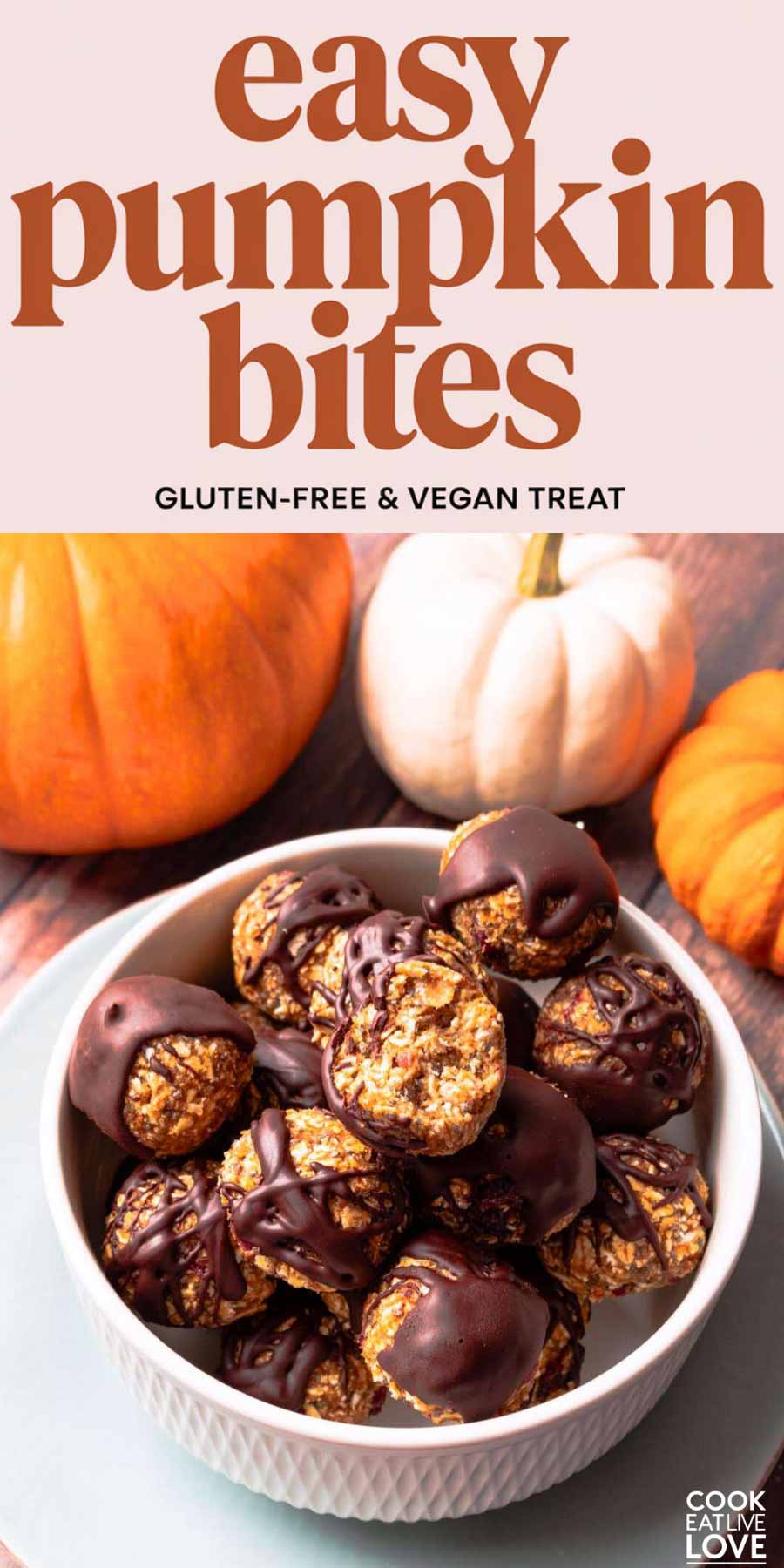 Pin for pinterest graphic with image of pumpkin bites and text on top.