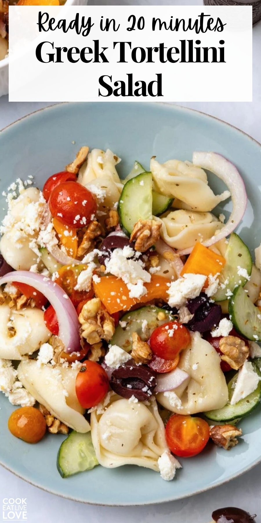 Pin for pinterest graphic with Greek tortellini pasta salad image and text on top.