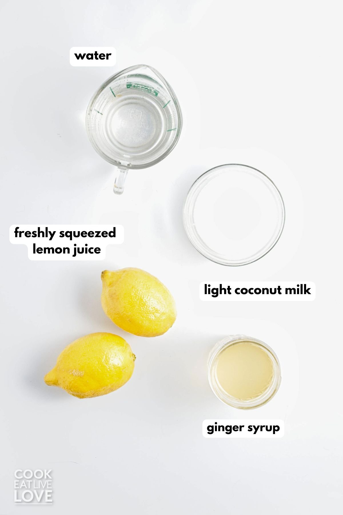 Ingredients to make coconut lemonade with a label next to it to identify it. 