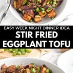 Pin for pinterest graphic with image of eggplant and tofu recipe and text on top.