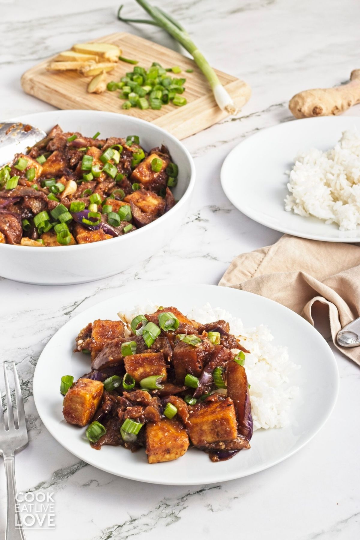 Rice topped with eggplant and tofu in front of a bowl of more and some rice. 