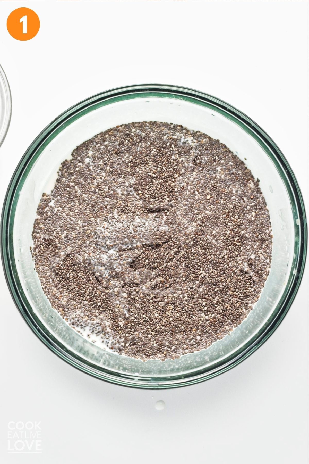 Chia and milk mixed in a bowl.