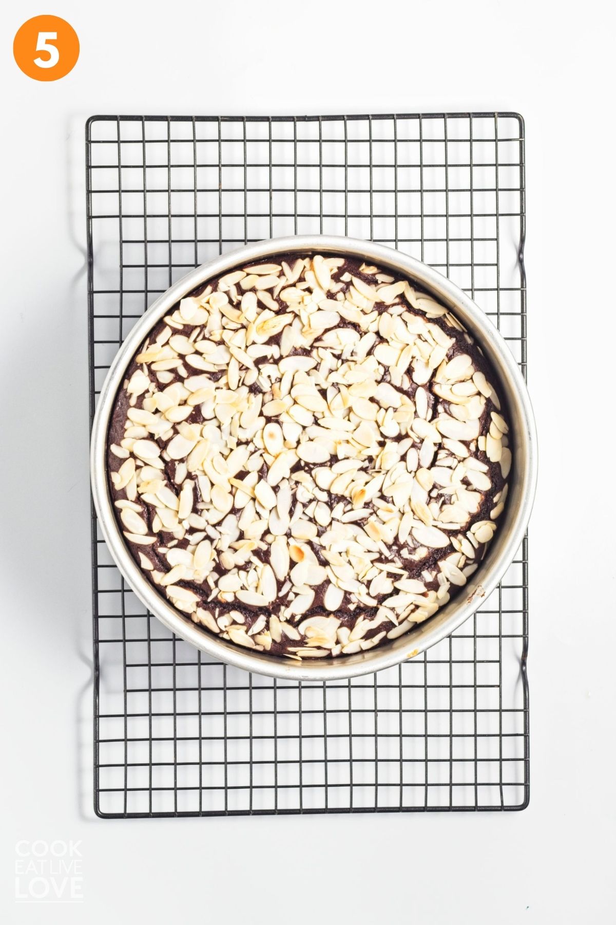 The chocolate olie oil cake baked and cooling on a rack.