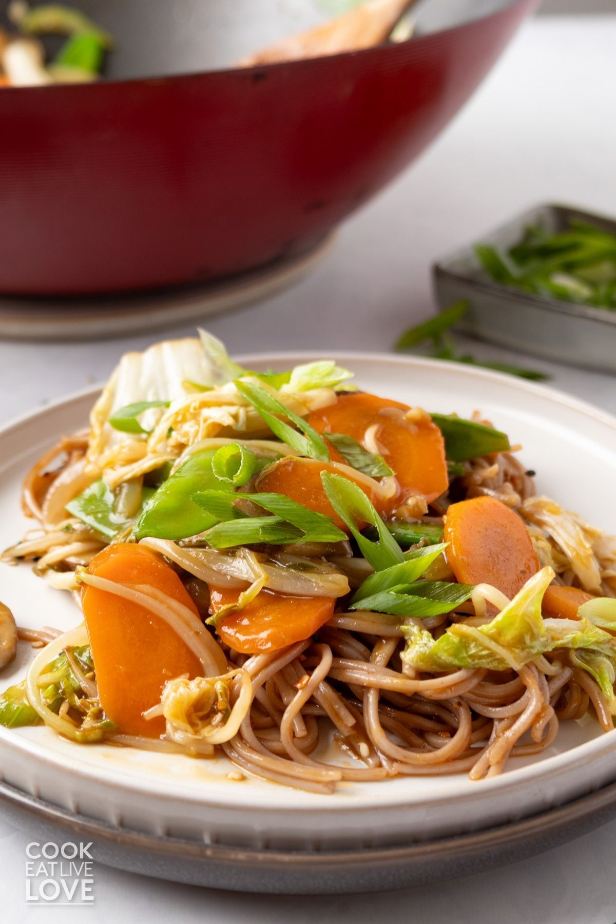 A plate with chop suey with vegetables.