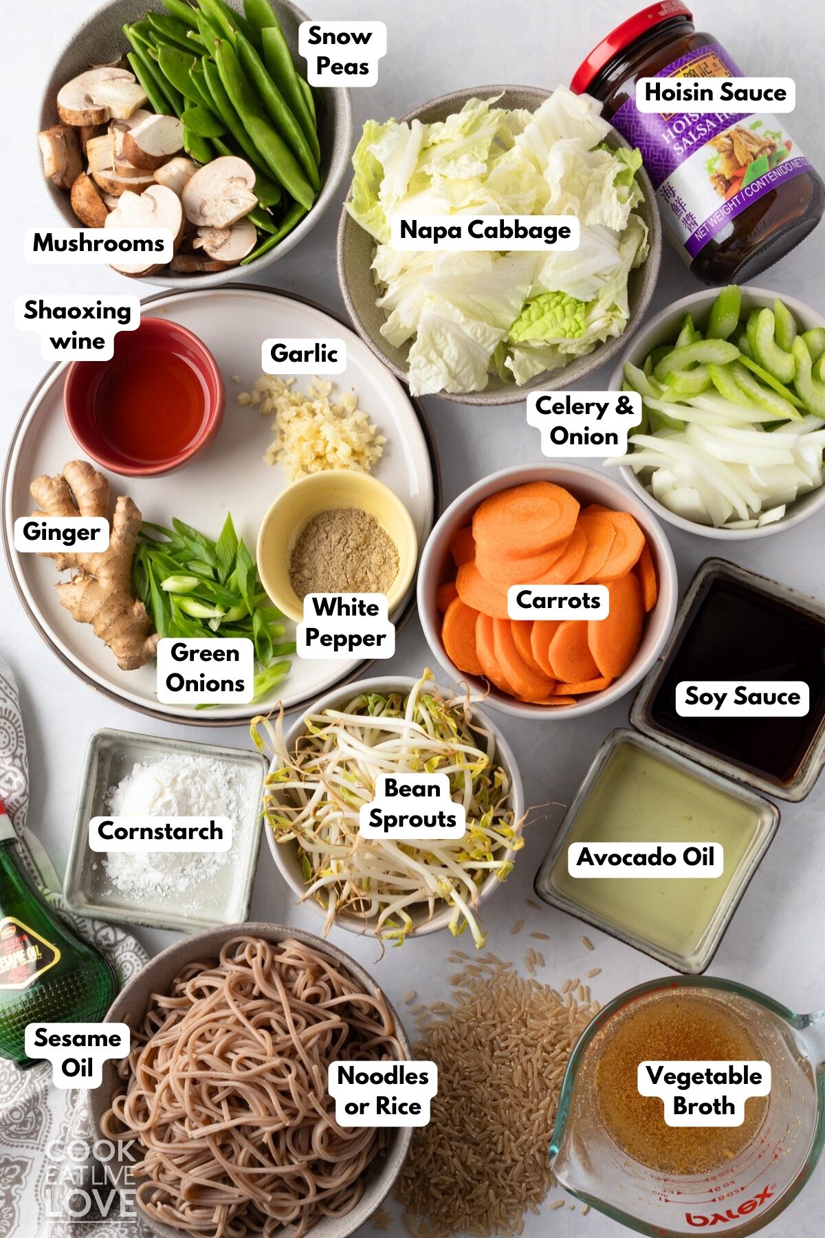 Ingredients to make this veggie chop suey on a table.