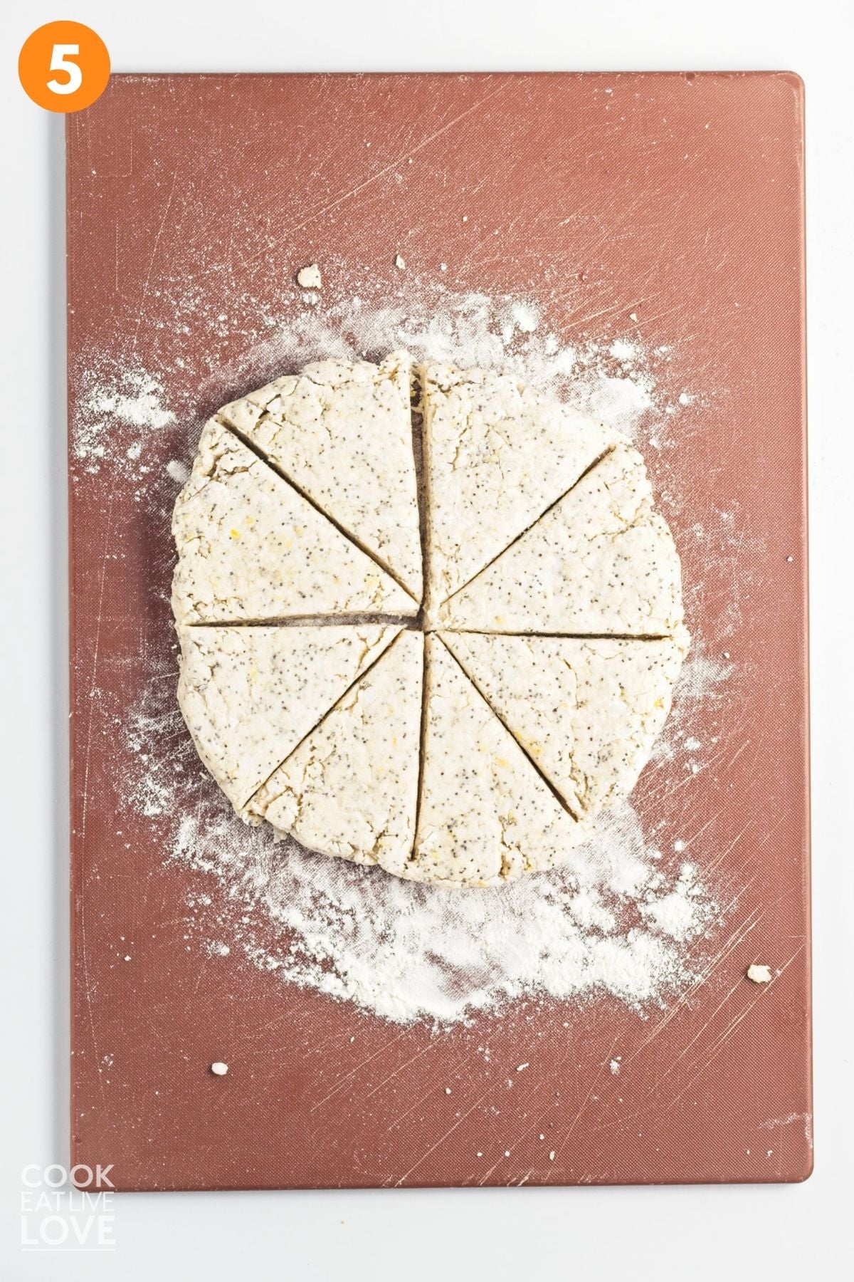 The lemon poppy scone dough shaped in a circle on a cutting board.