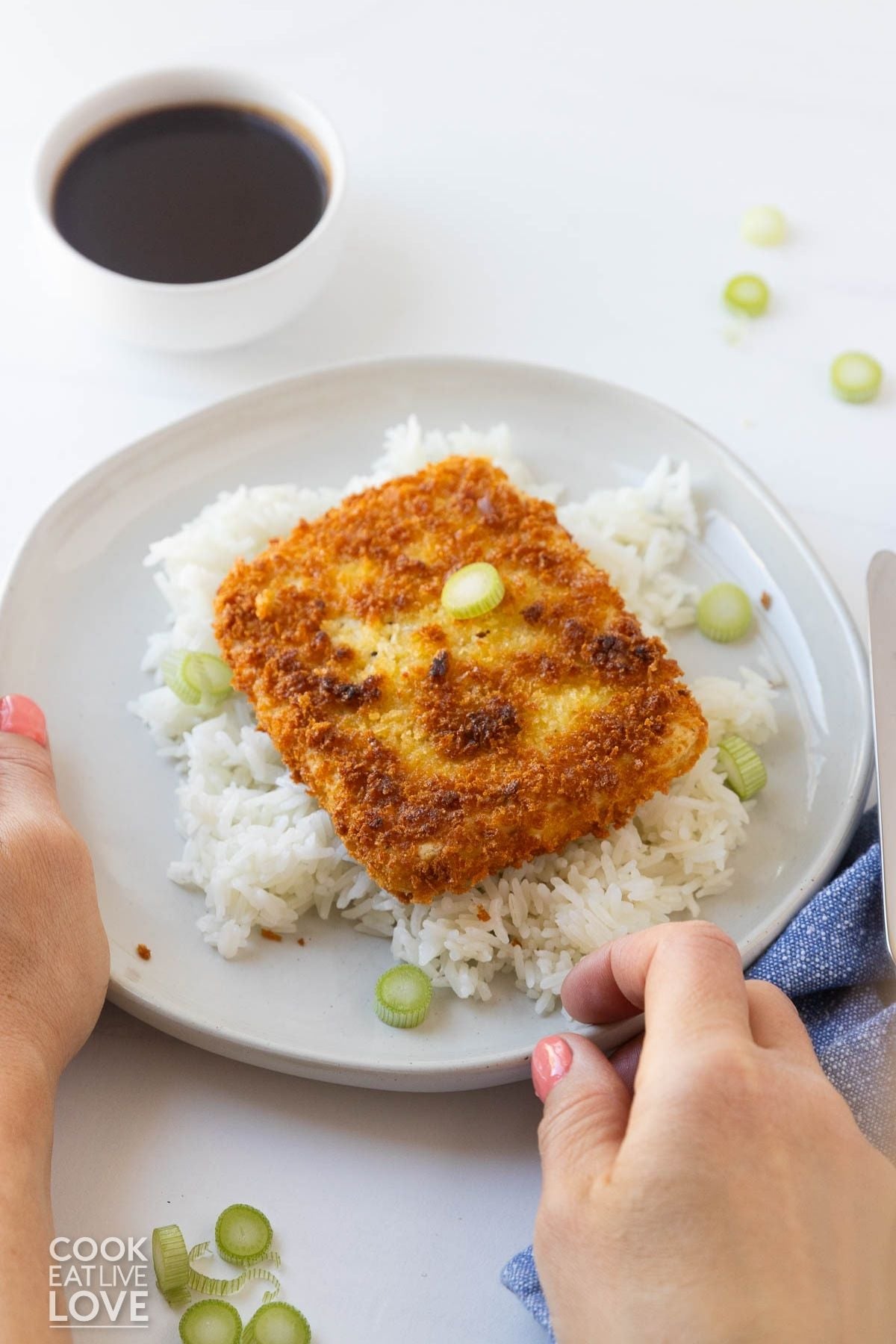 A piece of tofu katsu on a plate over rice. 