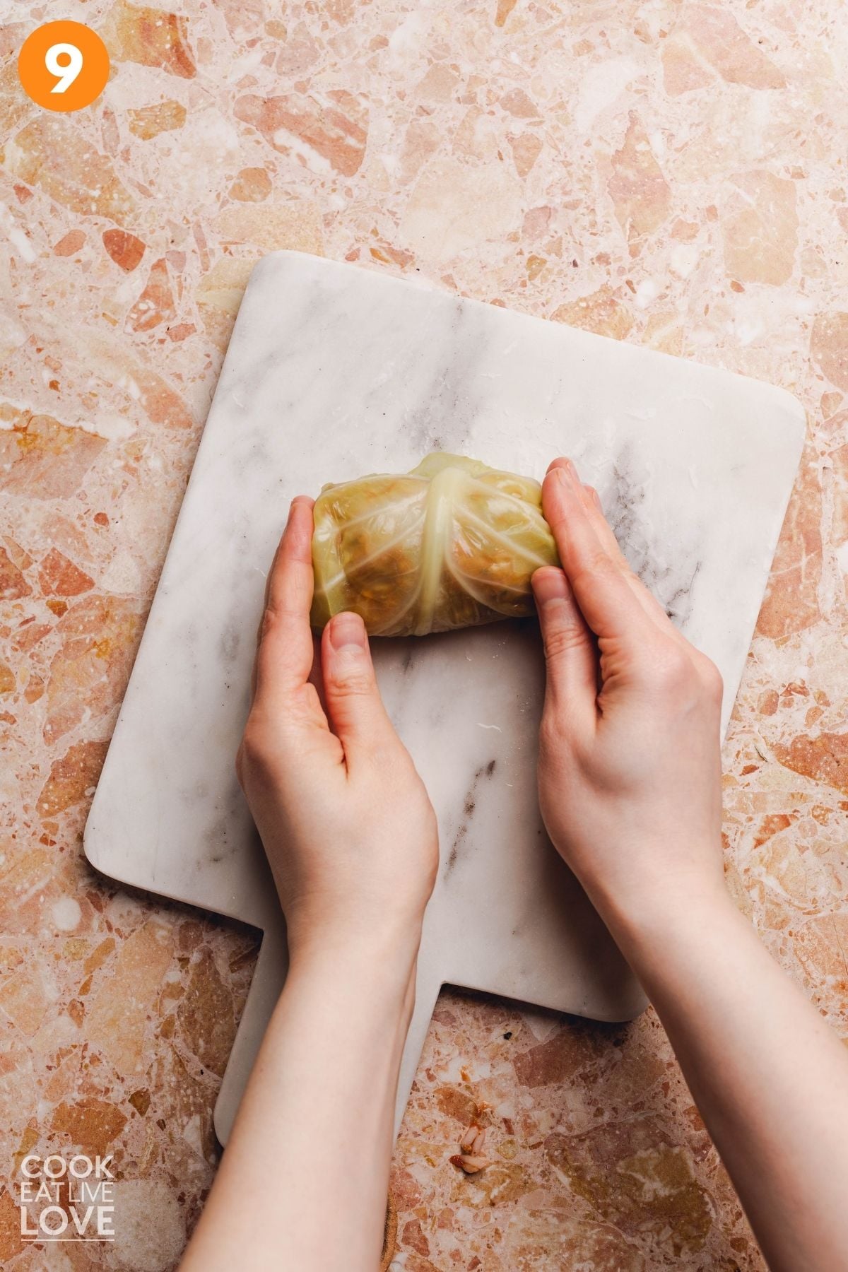 The cabbage leaf rolled.